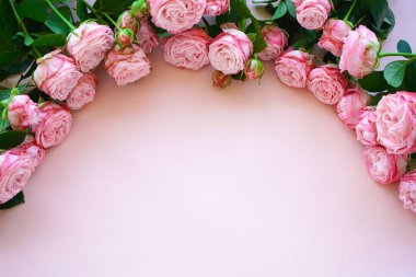 Açık pembe arkaplanda pembe güller, yazı için yer, yakın çekim, düz uzanma.