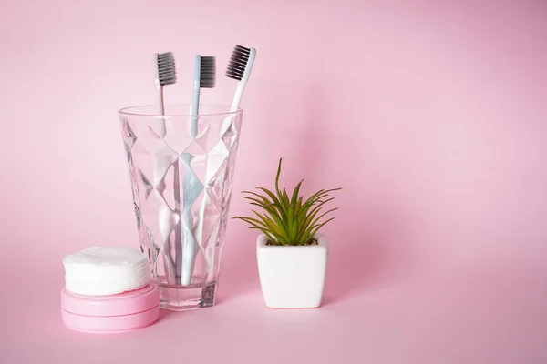 Toothbrushes Glass Pink Background Green Succulents Space Text Dental Healthcare — Stock Photo, Image