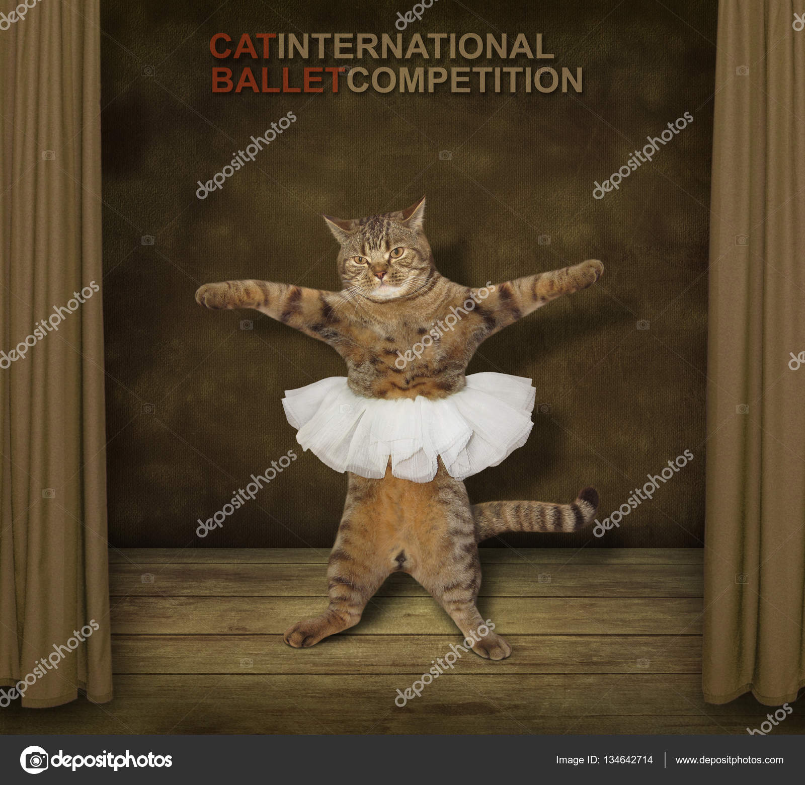 cat dancer