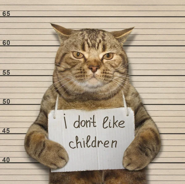 Kočka a malé děti — Stock fotografie