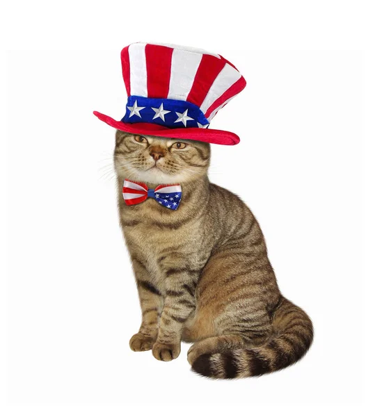 Cat patriot 2 — Stock Photo, Image