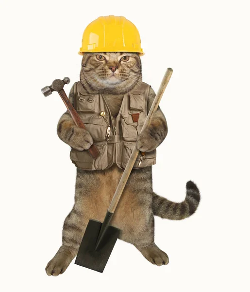 Constructor de gatos 1 — Foto de Stock