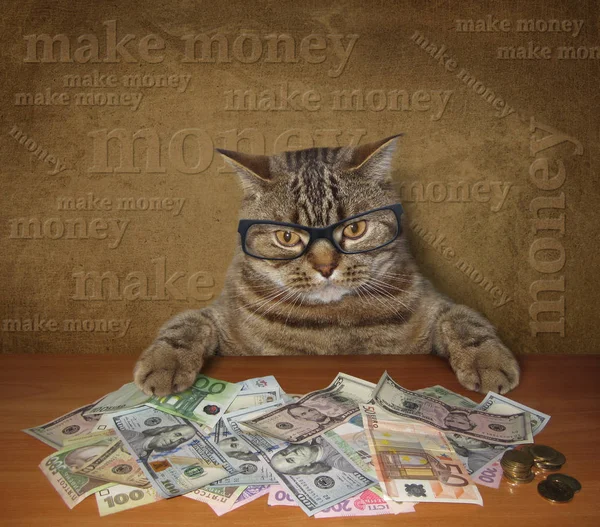 Bankéř kočka 2 — Stock fotografie