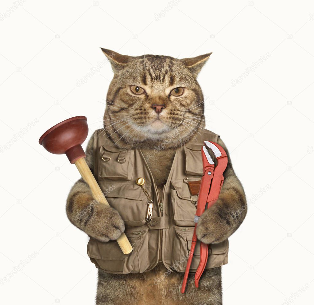 Cat plumber 1