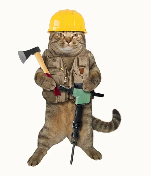 Кошка строитель 2 — стоковое фото