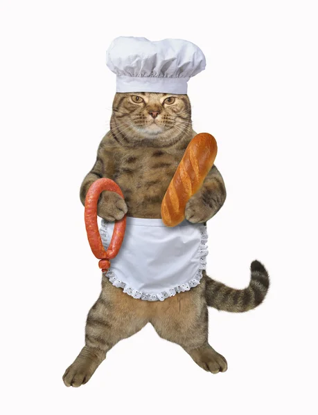 Kot z kiełbasa i chleb — Zdjęcie stockowe