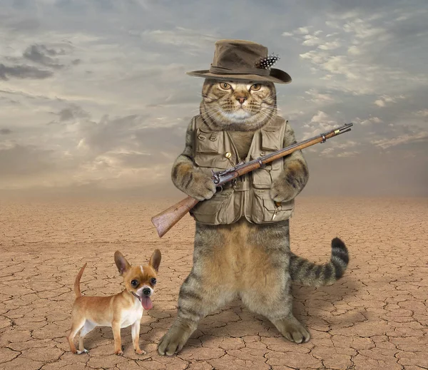 Chasseur de chat avec chien 3 — Photo