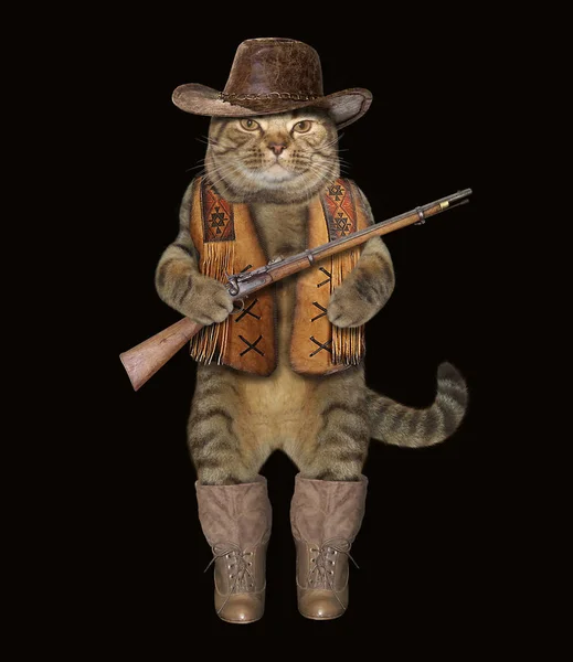 Gato cowboy 2 — Fotografia de Stock