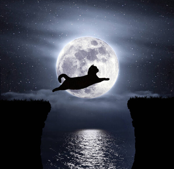 Moon and cat 2