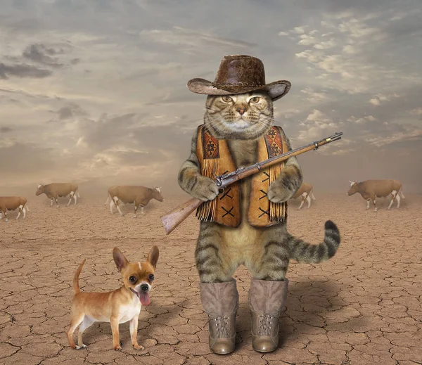 Cat cowboy with  dog 1 — Stock Photo, Image