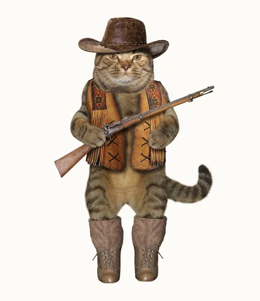 Gato cowboy 1 — Fotografia de Stock