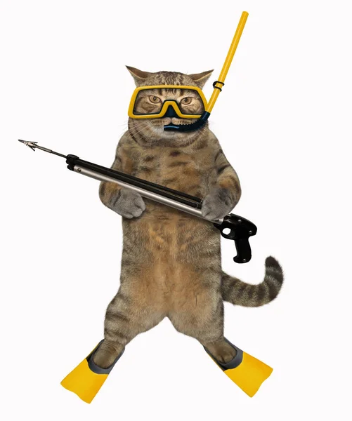 Cat diver 3 — Stock Photo, Image