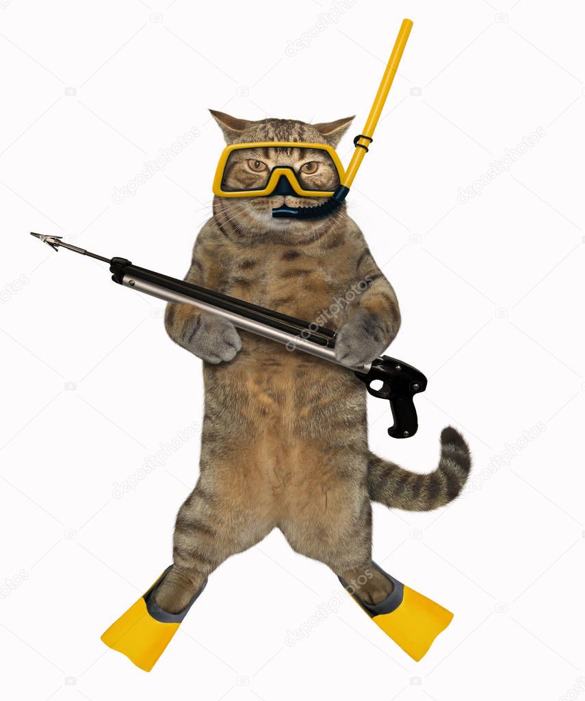 Cat diver 3