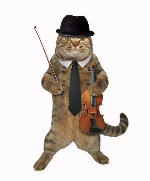 Dandy de gato com arco e violino — Fotografia de Stock