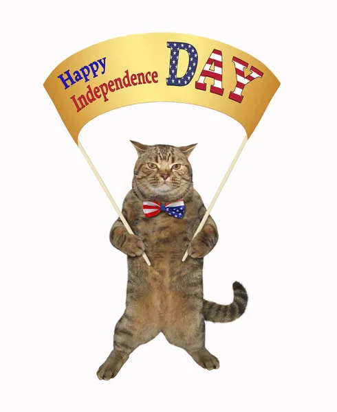 Cat patriot 12 — Stock Photo, Image