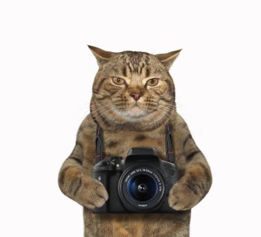 Kamera 1 ile kedi