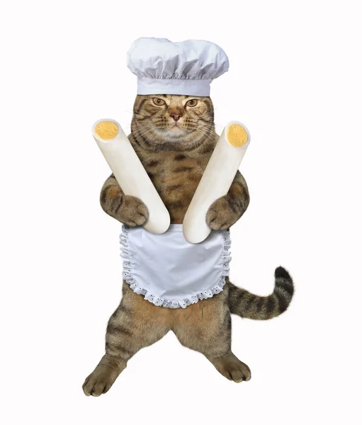 Cat cook 4 — Stockfoto