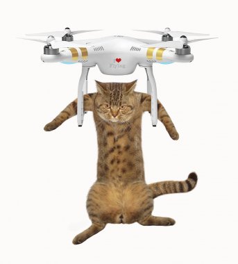 Kedi dron 1 ile