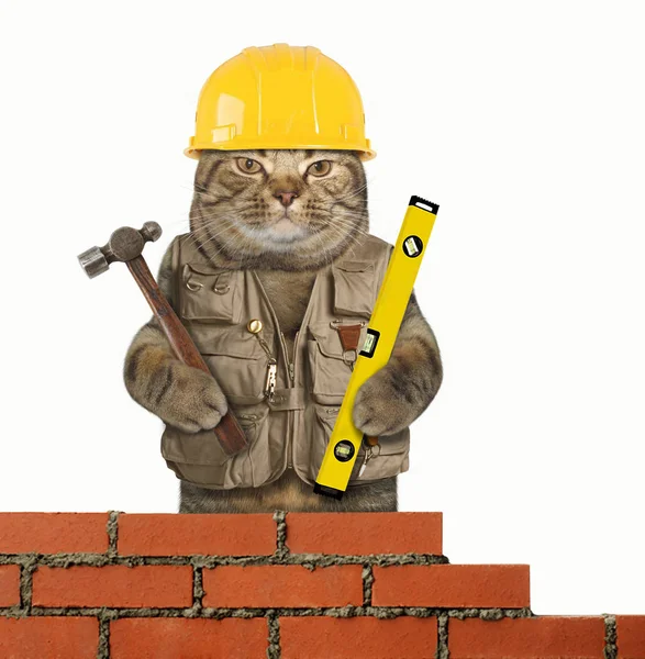 Constructeur de chat 4 — Photo