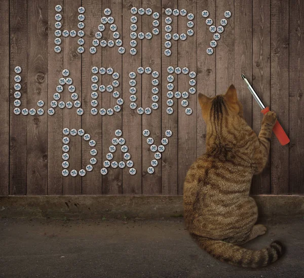 İşçi Bayramı vida 3