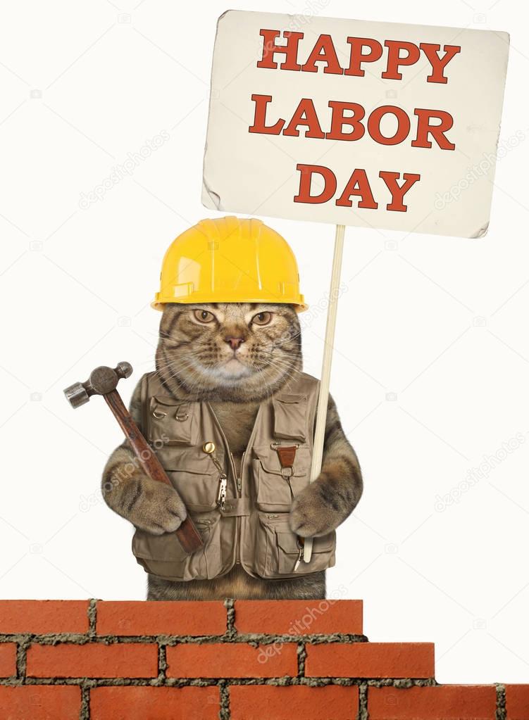 Cat and labor day 1