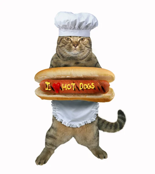 Gato cozinheiro com cachorro quente — Fotografia de Stock