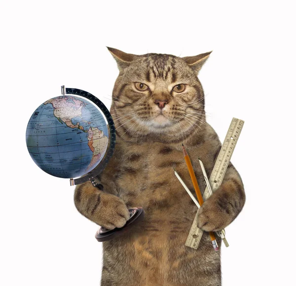 Kat met globe en liniaal — Stockfoto