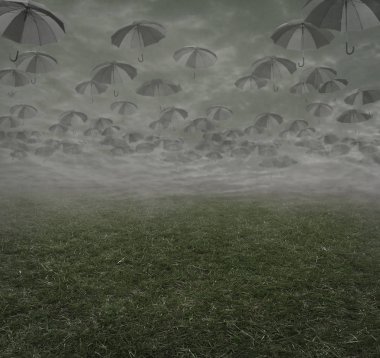 Kedi İngilizce öğretmeni