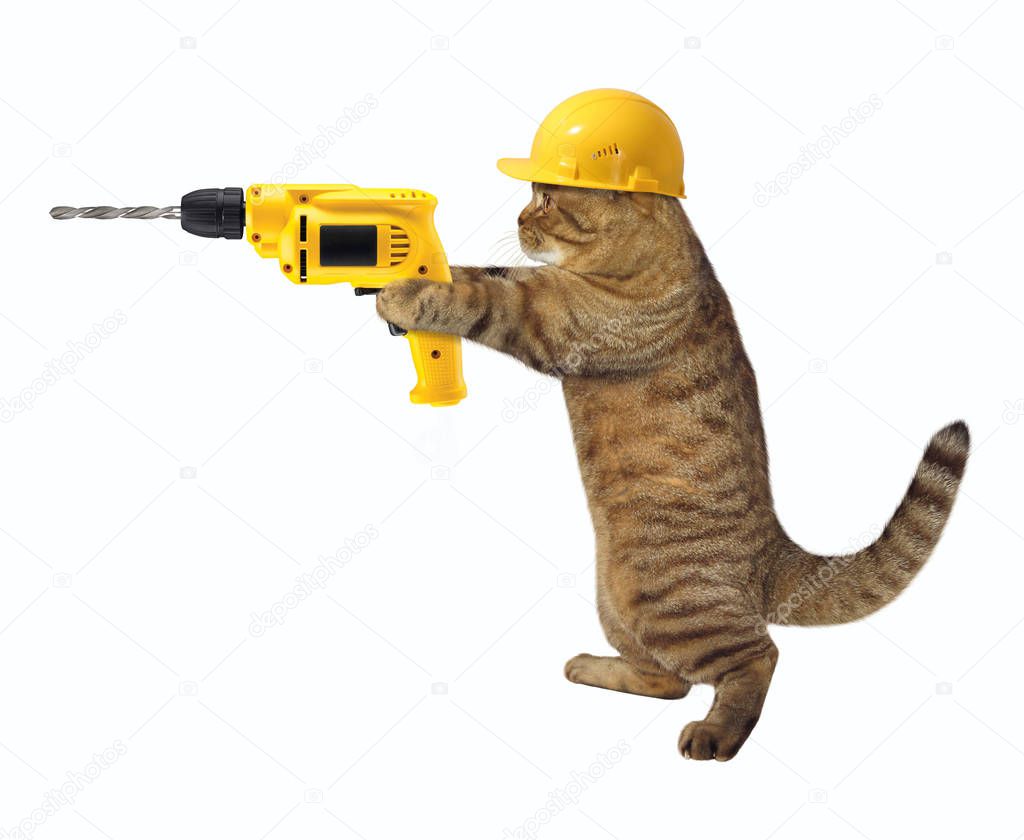 Cat builder with drill