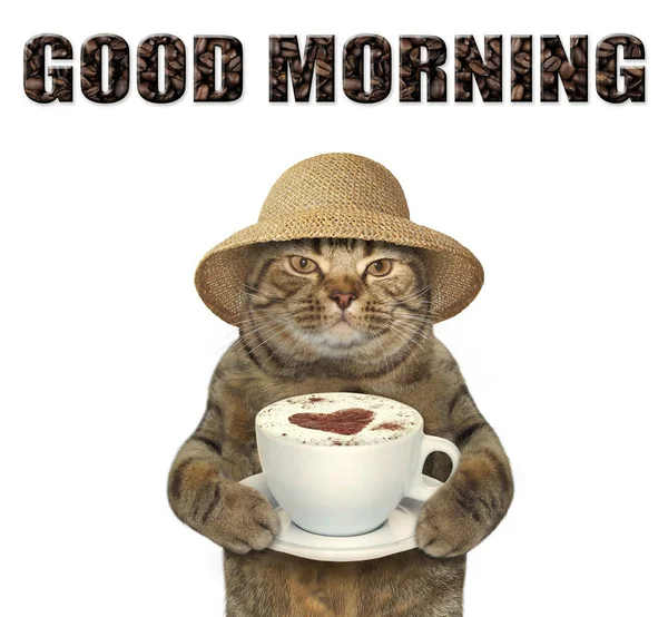 Kot z filiżanki kawy — Zdjęcie stockowe
