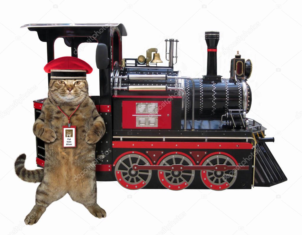 кот машинист. кот железнодорожник. железная дорога и котики. кот в сигнальном жилете. кот железнодорожник.