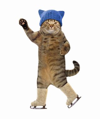 Paten örme şapka kedi