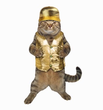 Kap ve yelek ile kedi