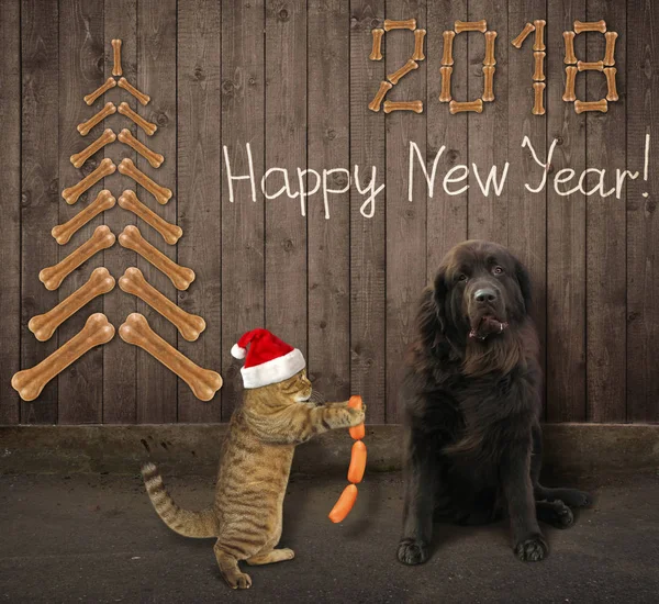 Yeni yıl 2018 köpek ve kedi