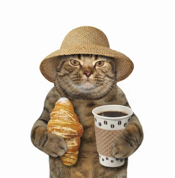 Kot z kawy i rogalika 3 — Zdjęcie stockowe