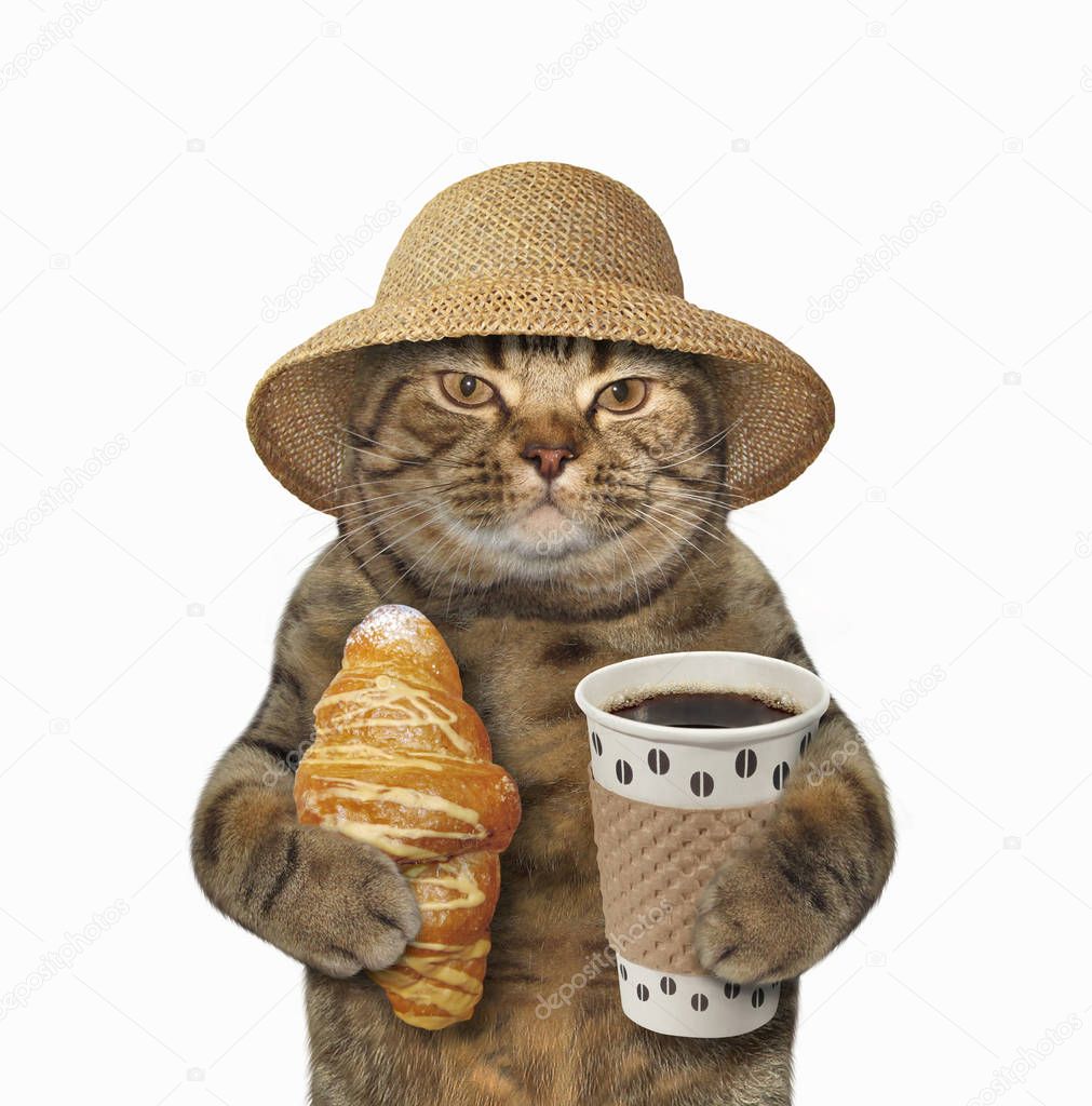 Cat with coffee and croissant 3