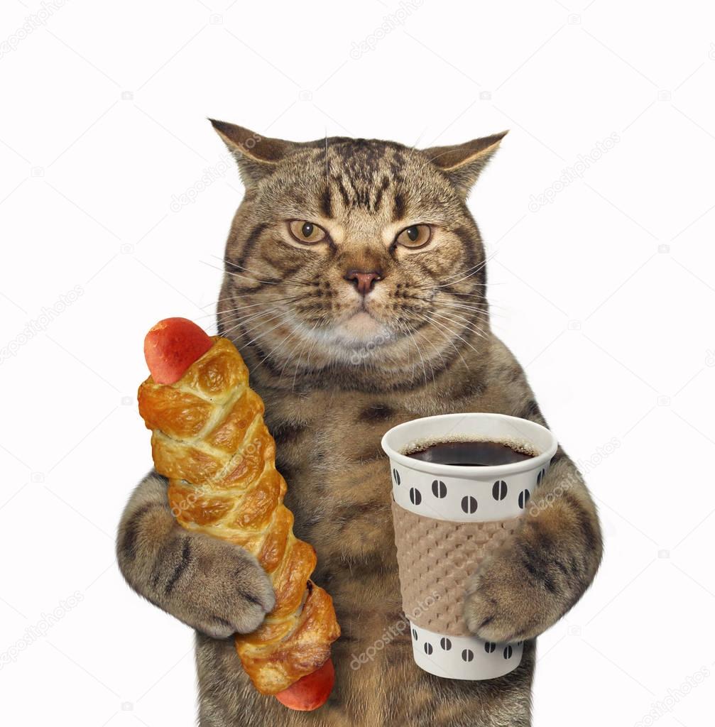 Cat with coffee and sausage in dough