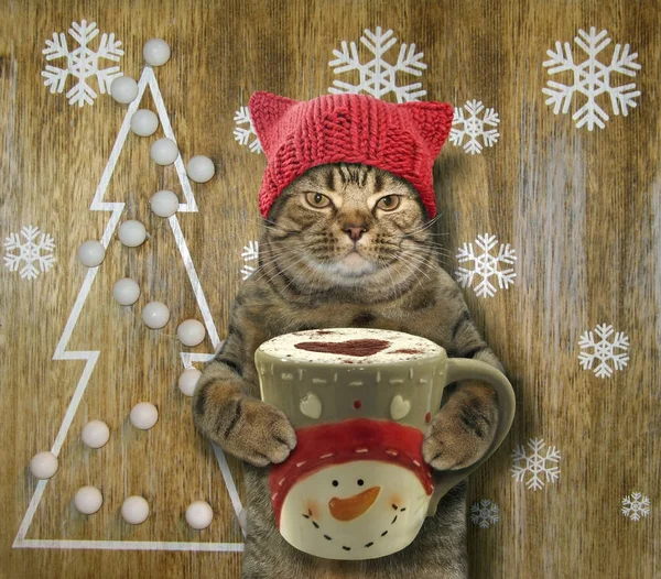 Kočka s kávou a Vánoce — Stock fotografie