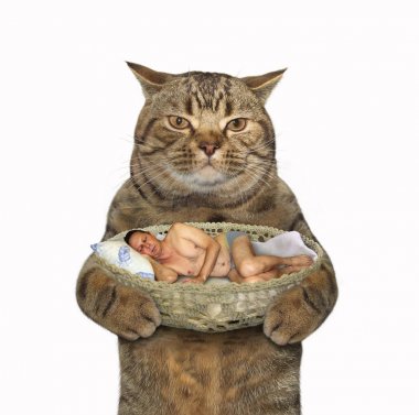 Kedi ve uyuyan adam