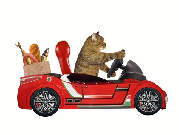 Γάτα σε ένα κόκκινο αυτοκίνητο 1 — Φωτογραφία Αρχείου