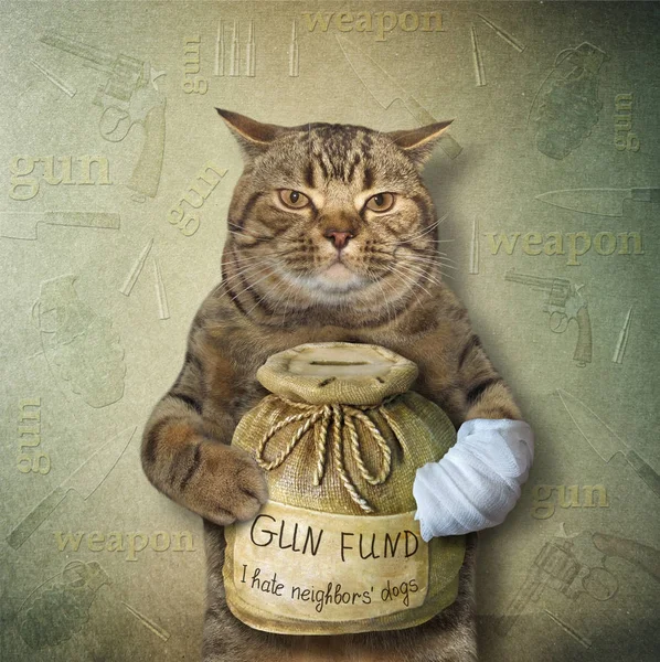 Kedi ile silah 2 için bir para kutusu