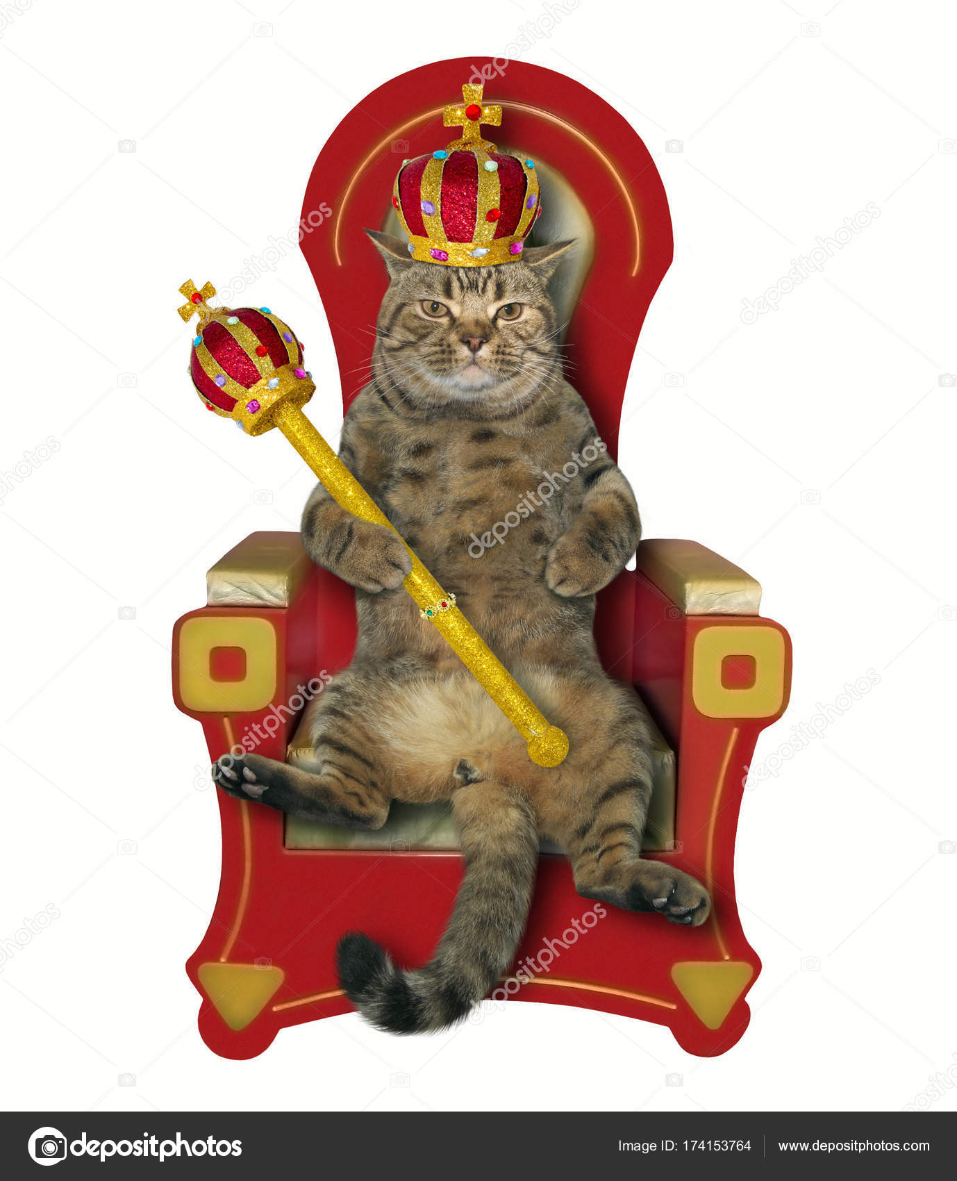 Collection 91+ Pictures Cat King Completed