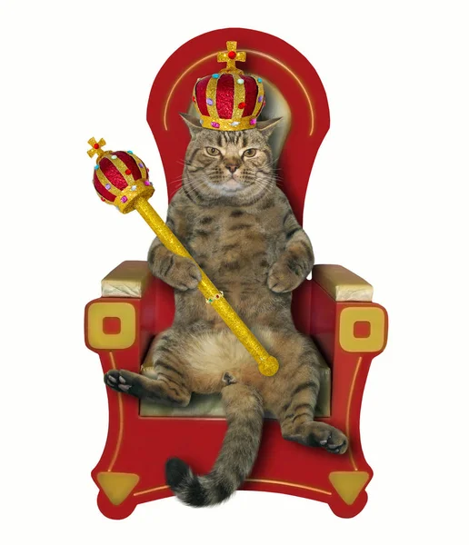 Cat king on the throne — Stock Photo, Image