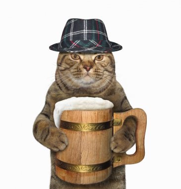 Ahşap bir kupa bira ile kedi
