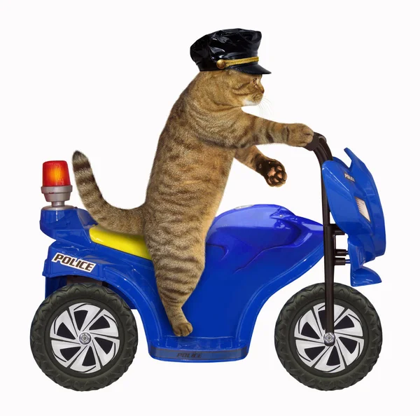 Cat policeman on a motorbike — Stock Photo, Image