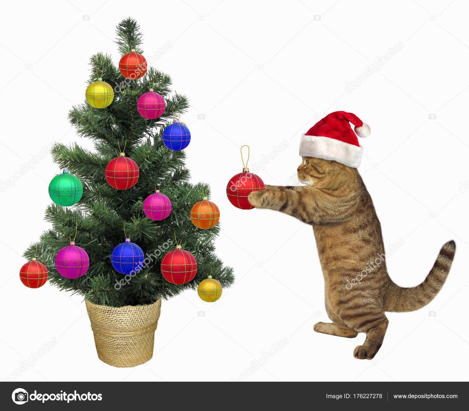 Cat decorates the Christmas tree — Stock Photo © Iridi #176227278 - Main Image