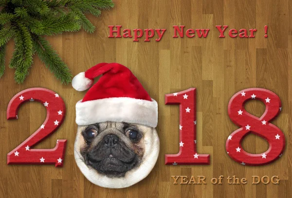 Yeni yıl 2018 ile köpek