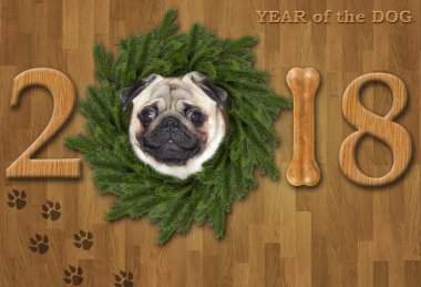 Köpek 2 ile yeni yıl 2018