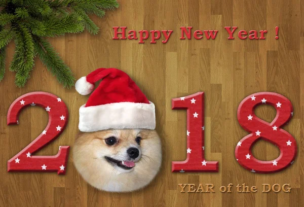 New Year 2018 with dog 1 — Stock Photo, Image