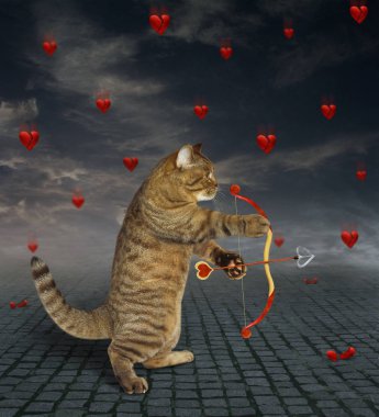 Kedi bir okla 2 vuruyor